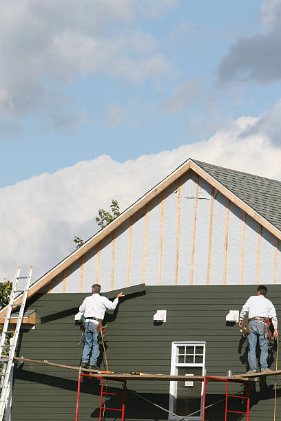 Best Shed Removal  in Savanna, IL