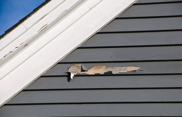 Best Foreclosure Cleanout  in Savanna, IL